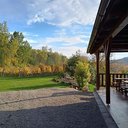 Penzion Ve Vinohrade Němčičky Extérieur photo