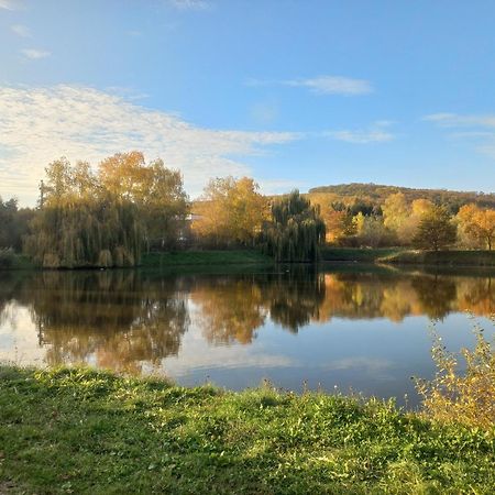 Penzion Ve Vinohrade Němčičky Extérieur photo