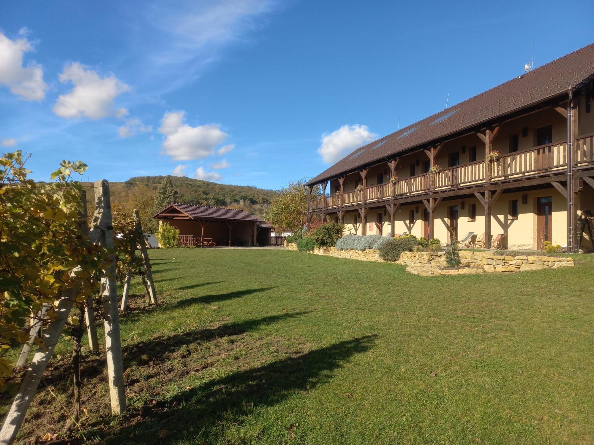 Penzion Ve Vinohrade Němčičky Extérieur photo