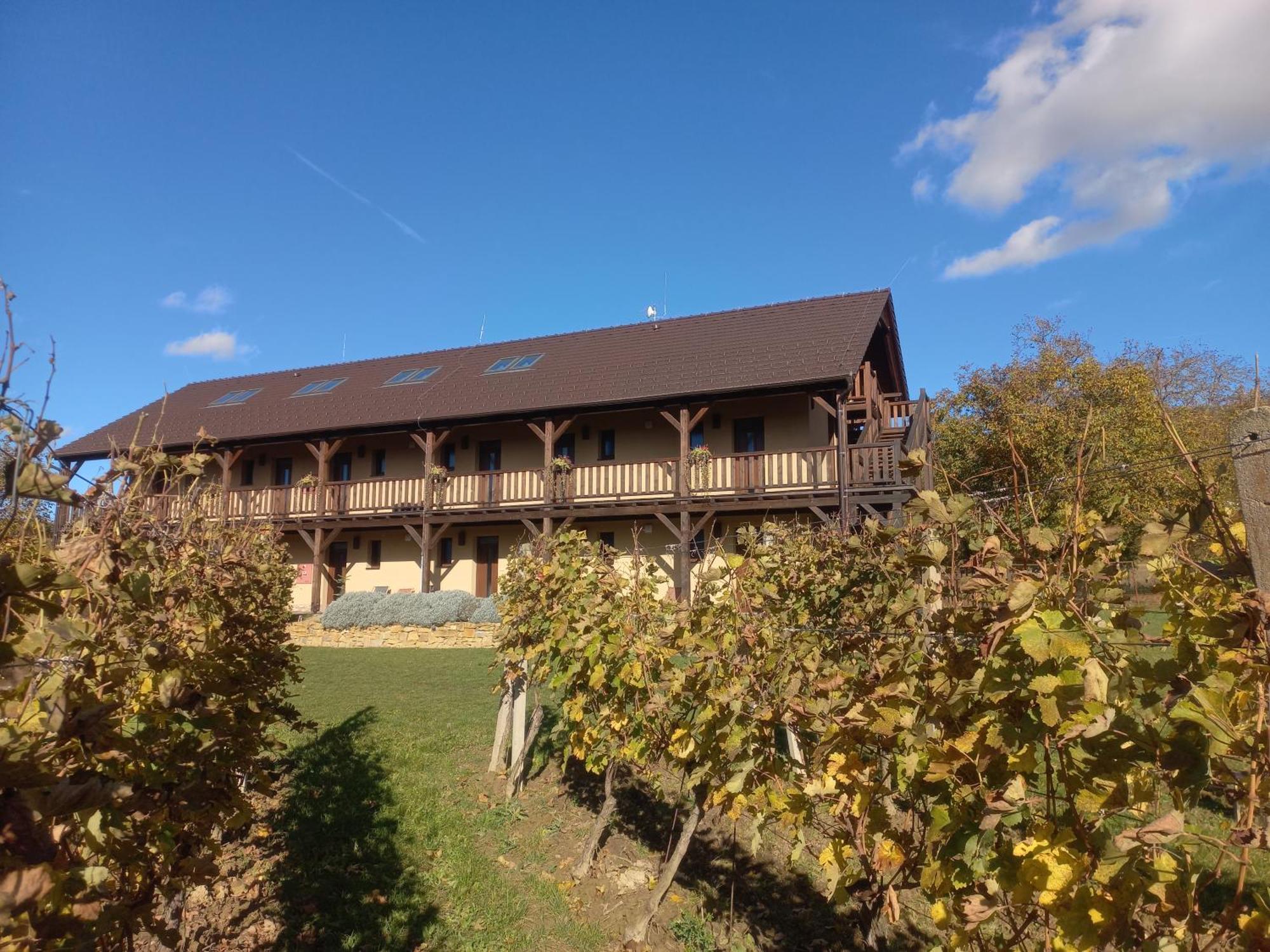Penzion Ve Vinohrade Němčičky Extérieur photo