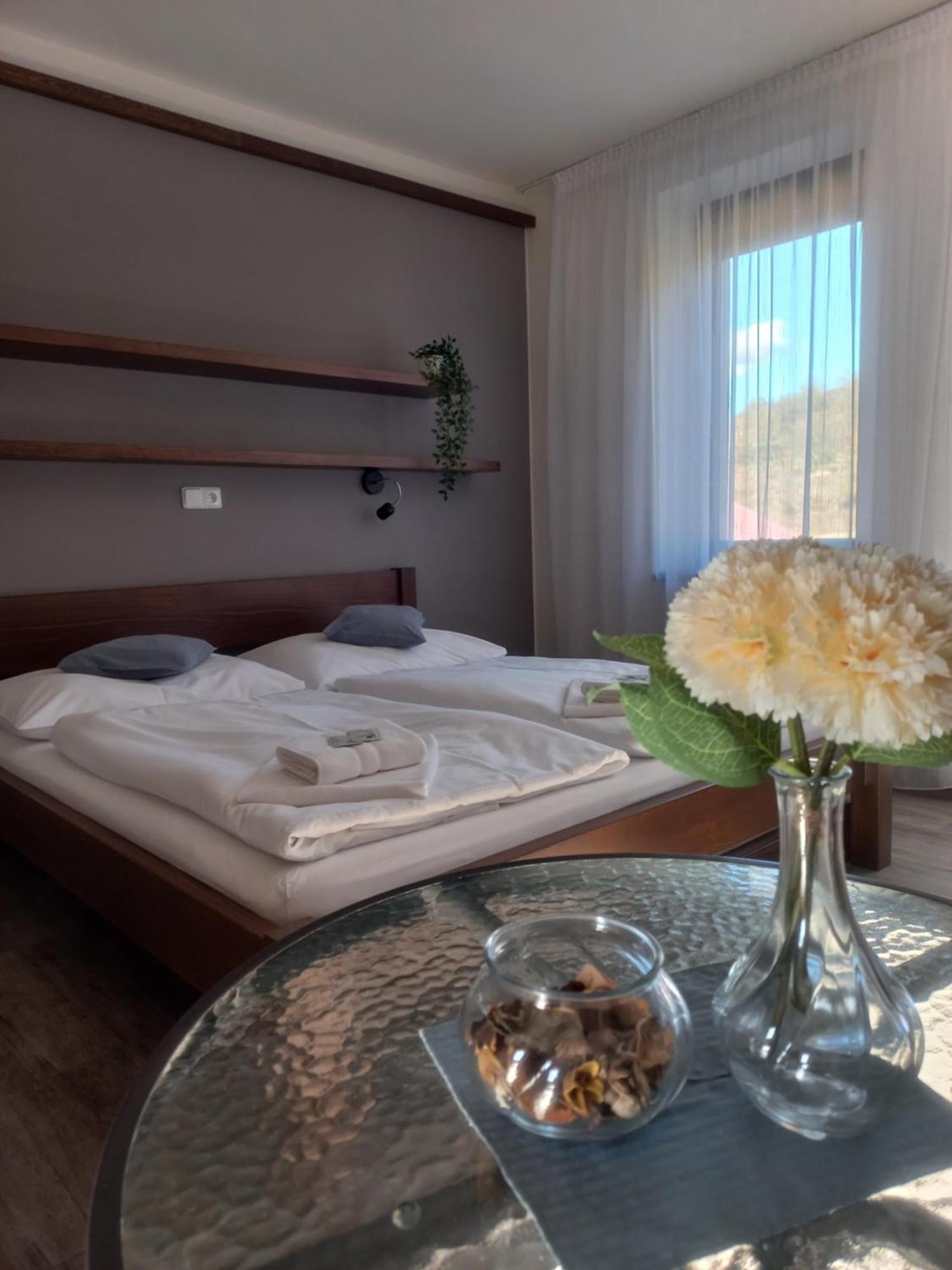 Penzion Ve Vinohrade Němčičky Extérieur photo