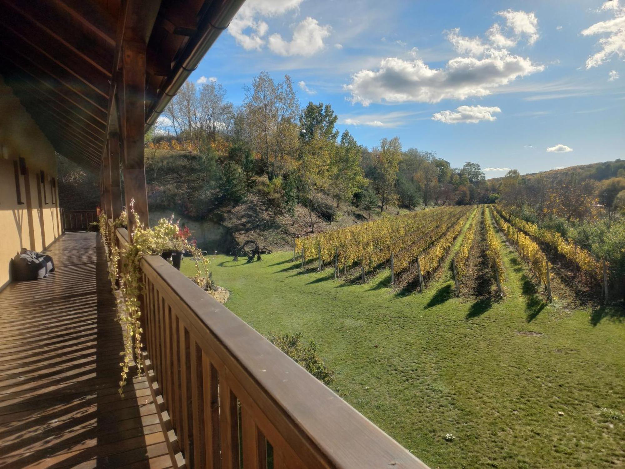 Penzion Ve Vinohrade Němčičky Extérieur photo