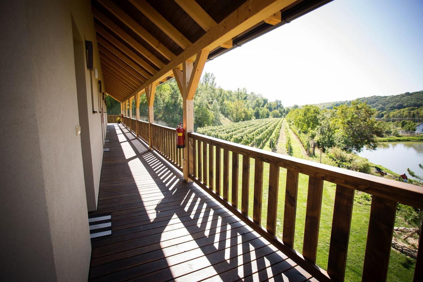 Penzion Ve Vinohrade Němčičky Extérieur photo