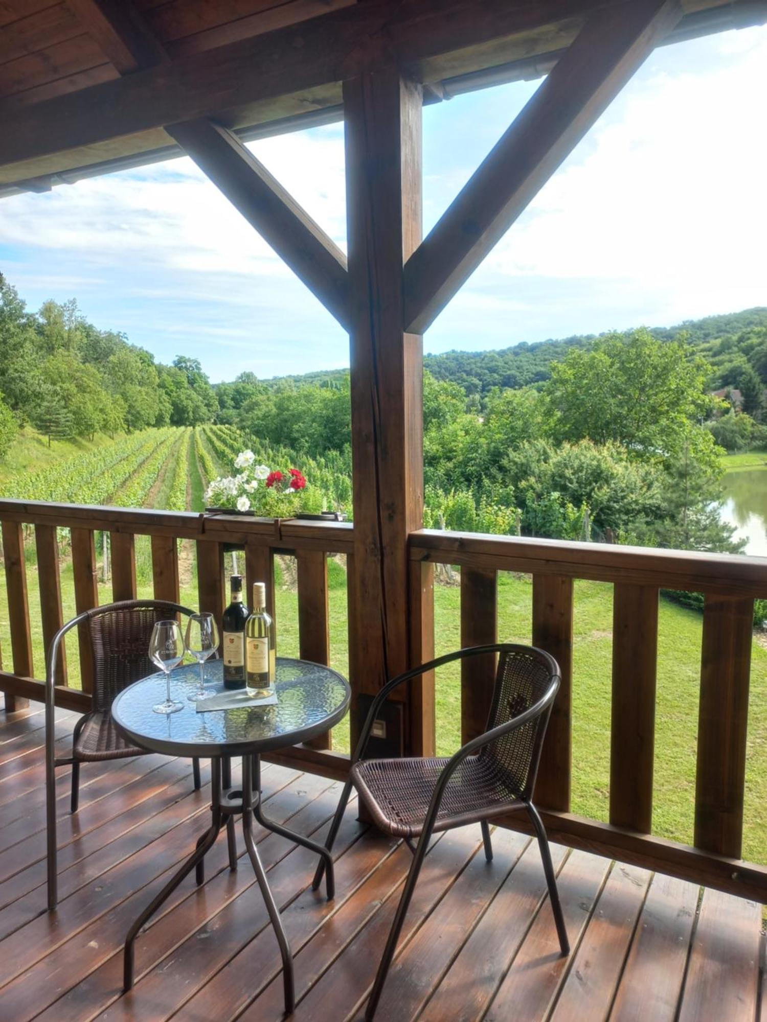 Penzion Ve Vinohrade Němčičky Extérieur photo