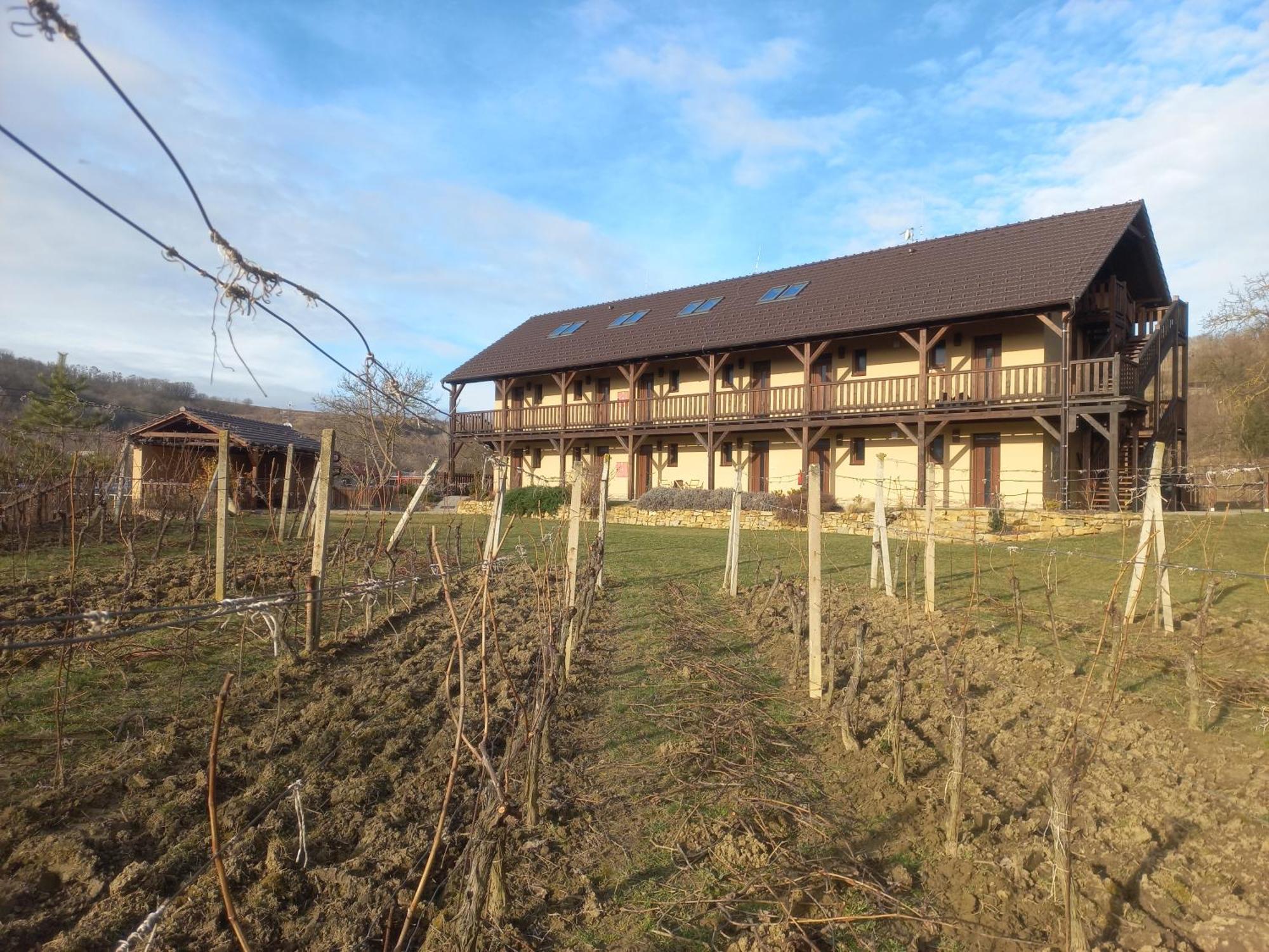 Penzion Ve Vinohrade Němčičky Extérieur photo