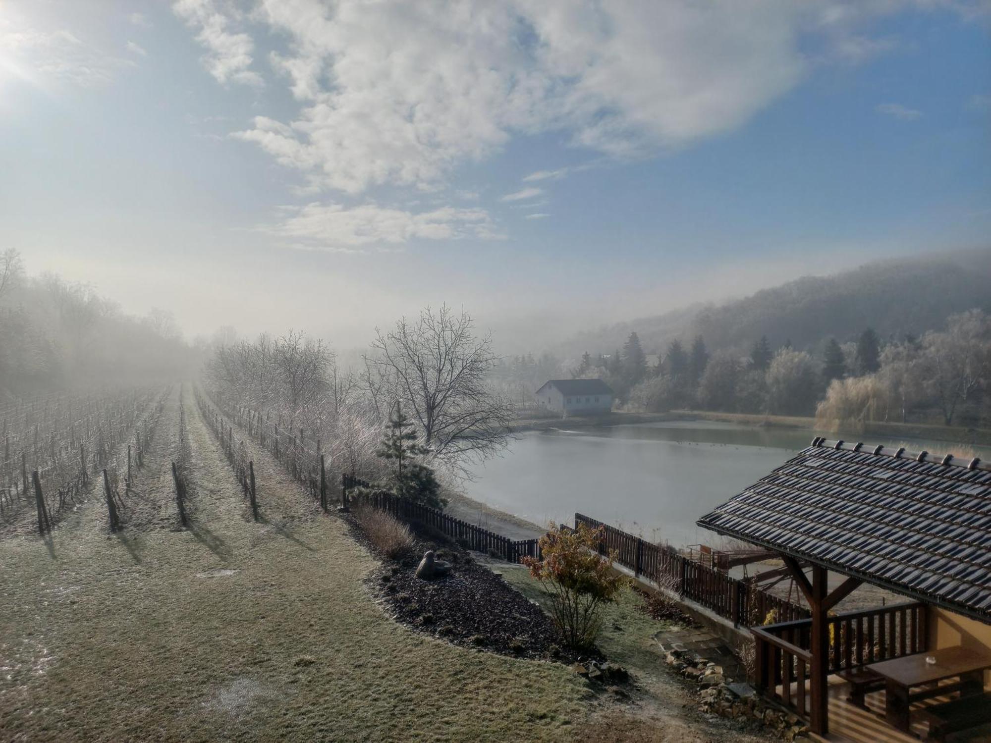 Penzion Ve Vinohrade Němčičky Extérieur photo
