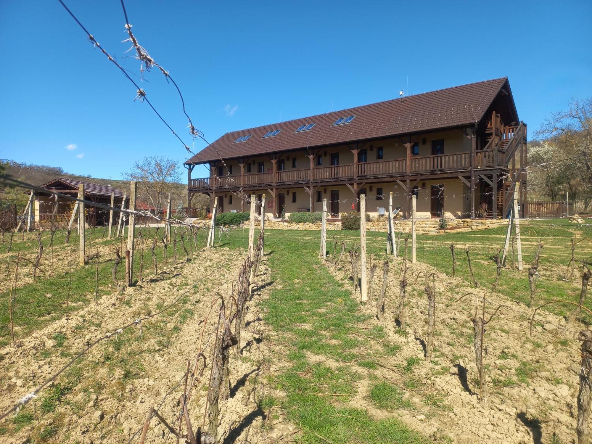 Penzion Ve Vinohrade Němčičky Extérieur photo