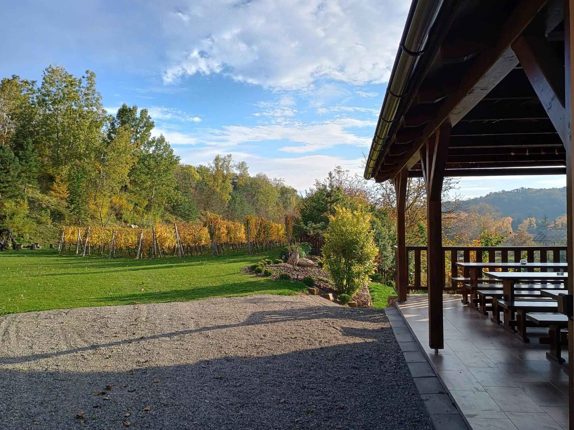 Penzion Ve Vinohrade Němčičky Extérieur photo