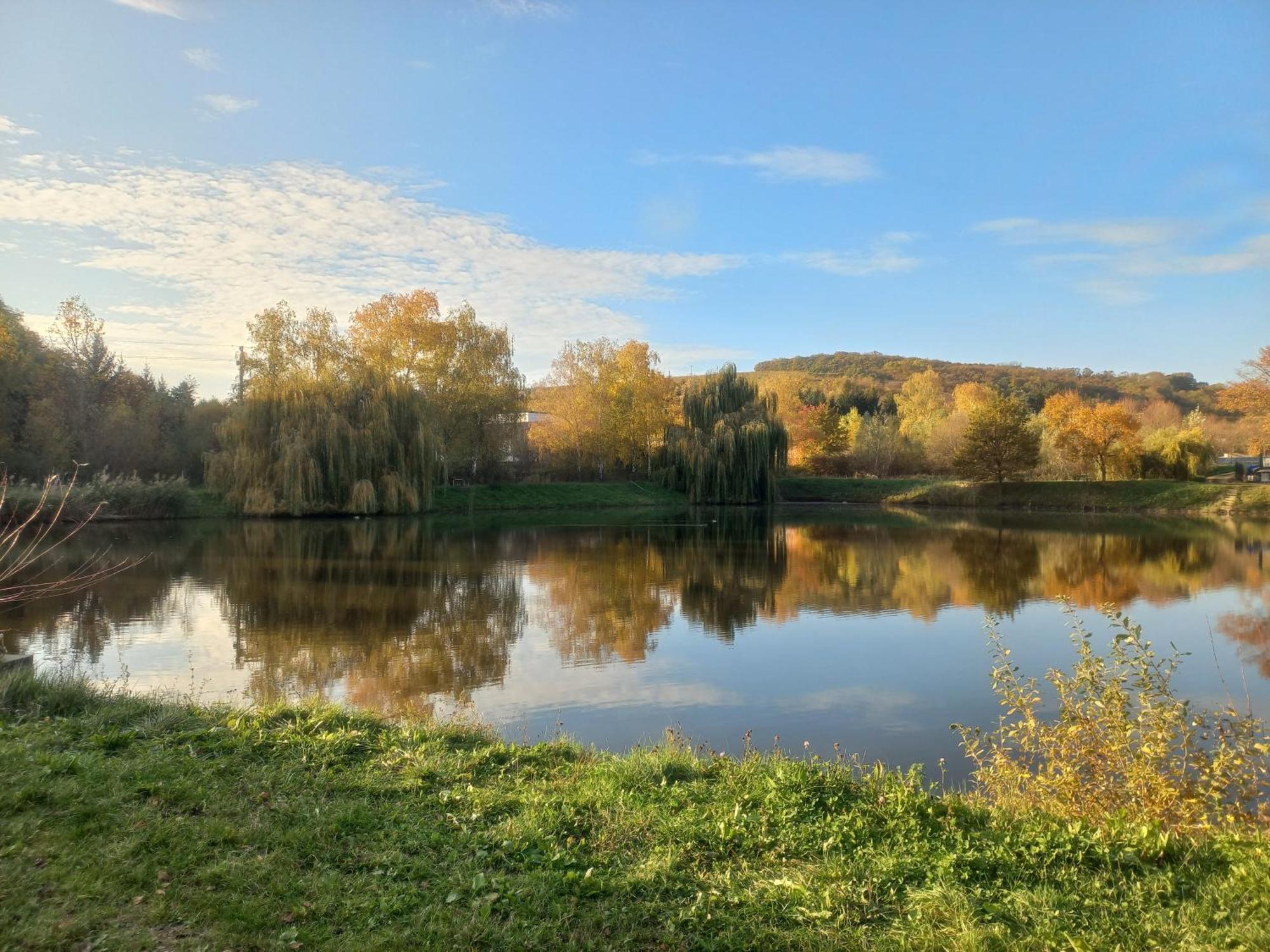 Penzion Ve Vinohrade Němčičky Extérieur photo
