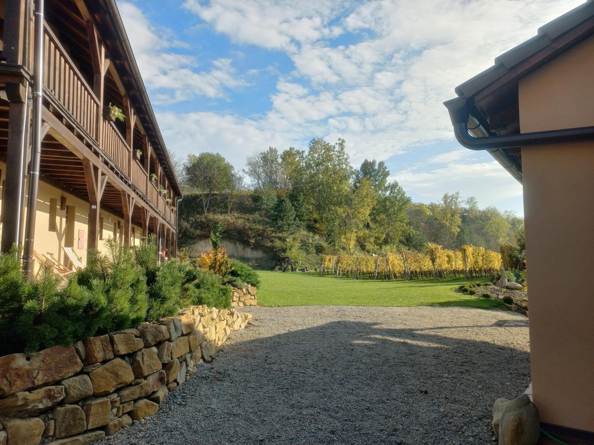 Penzion Ve Vinohrade Němčičky Extérieur photo